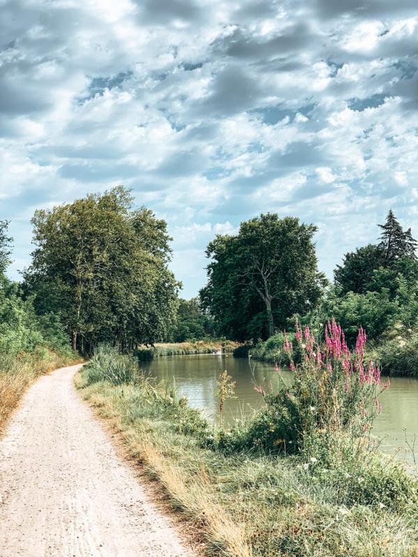 Aux Berges Du Canal Capestang Exterior photo